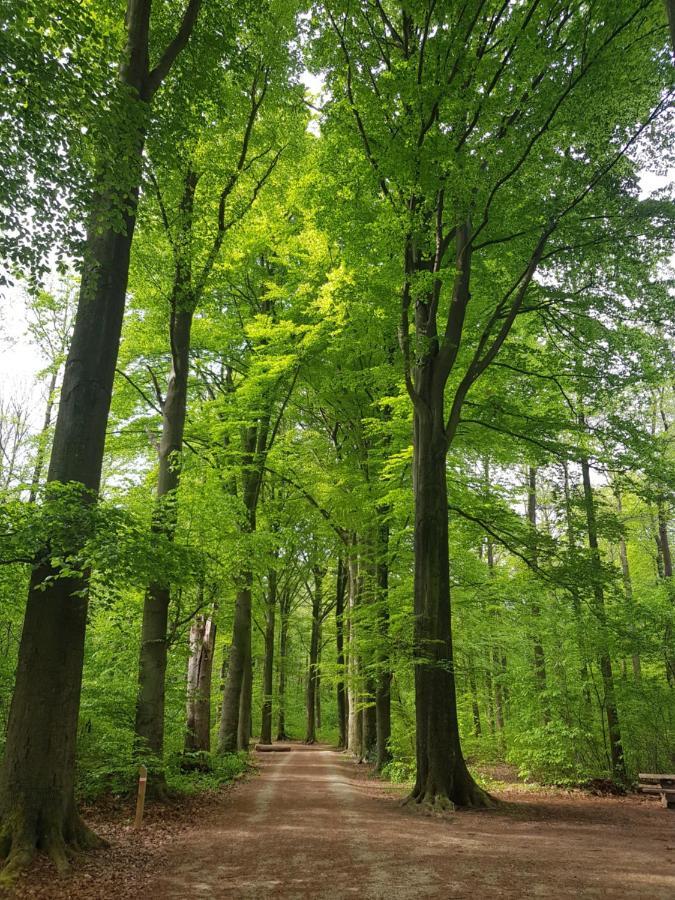 HeverleeBoslucht Leuven住宿加早餐旅馆 外观 照片